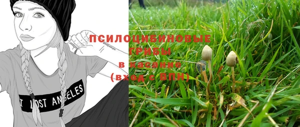 a pvp Верея