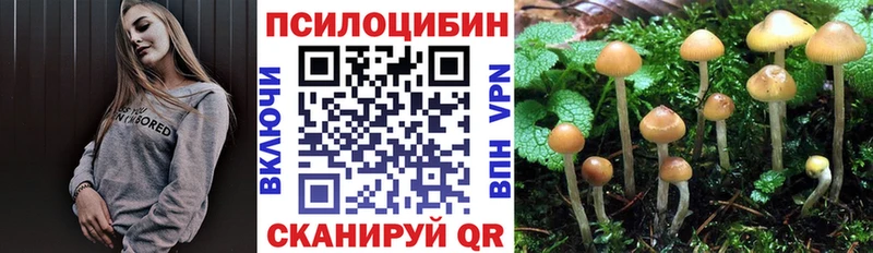 Псилоцибиновые грибы Cubensis  Мончегорск 